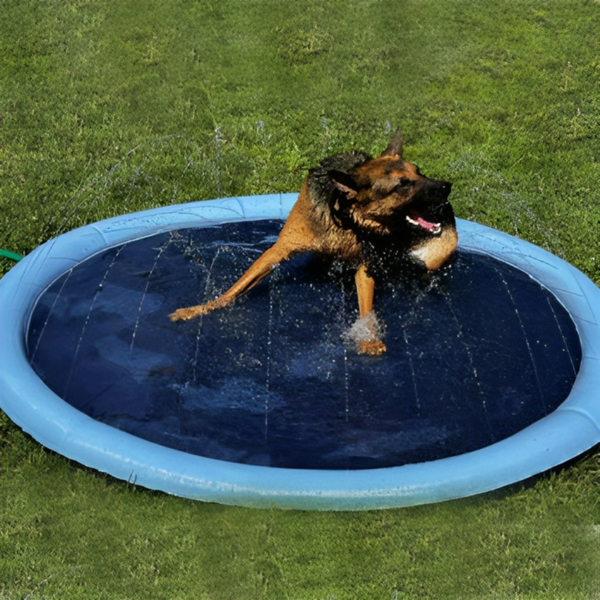 Sprinkler Dog Pool