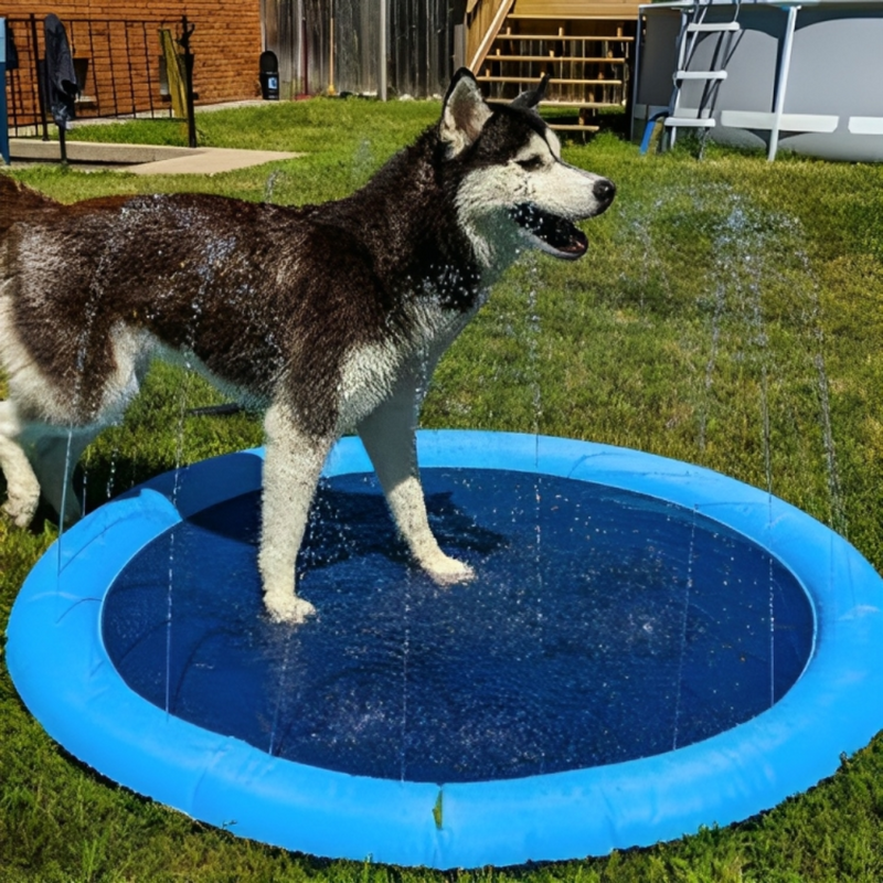 Sprinkler Dog Pool